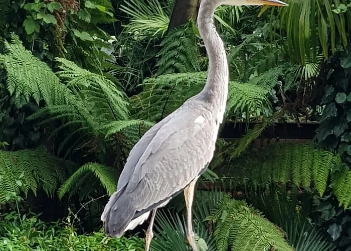 Hotel Park Mansion Amsterdam