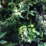 Park Mansion מלון 3*