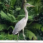 מלון Park Mansion אמסטרדם