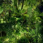 מלון Park Mansion